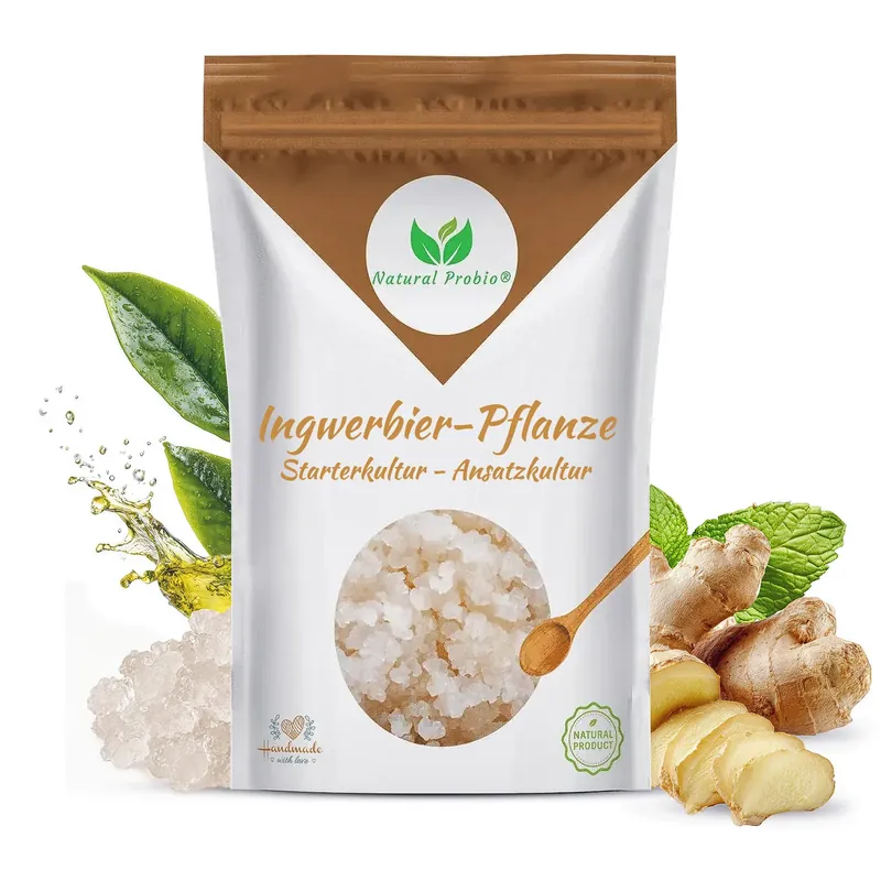 Beutel Ginger Beer Plant (Ingwerbier-Pflanze) von Natural Probio
