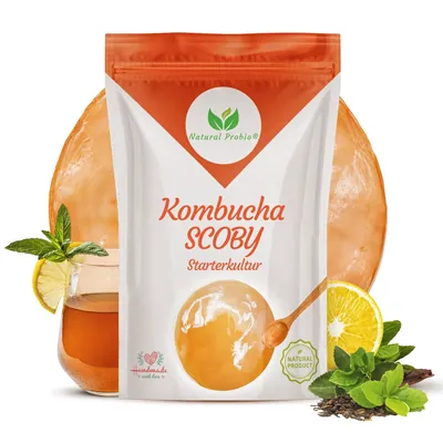 Beutel mit lebendem Kombucha-Pilz (SCOBY) von Natural Probio