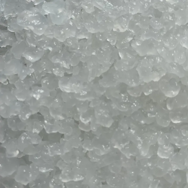 Wasserkefir-Kristalle